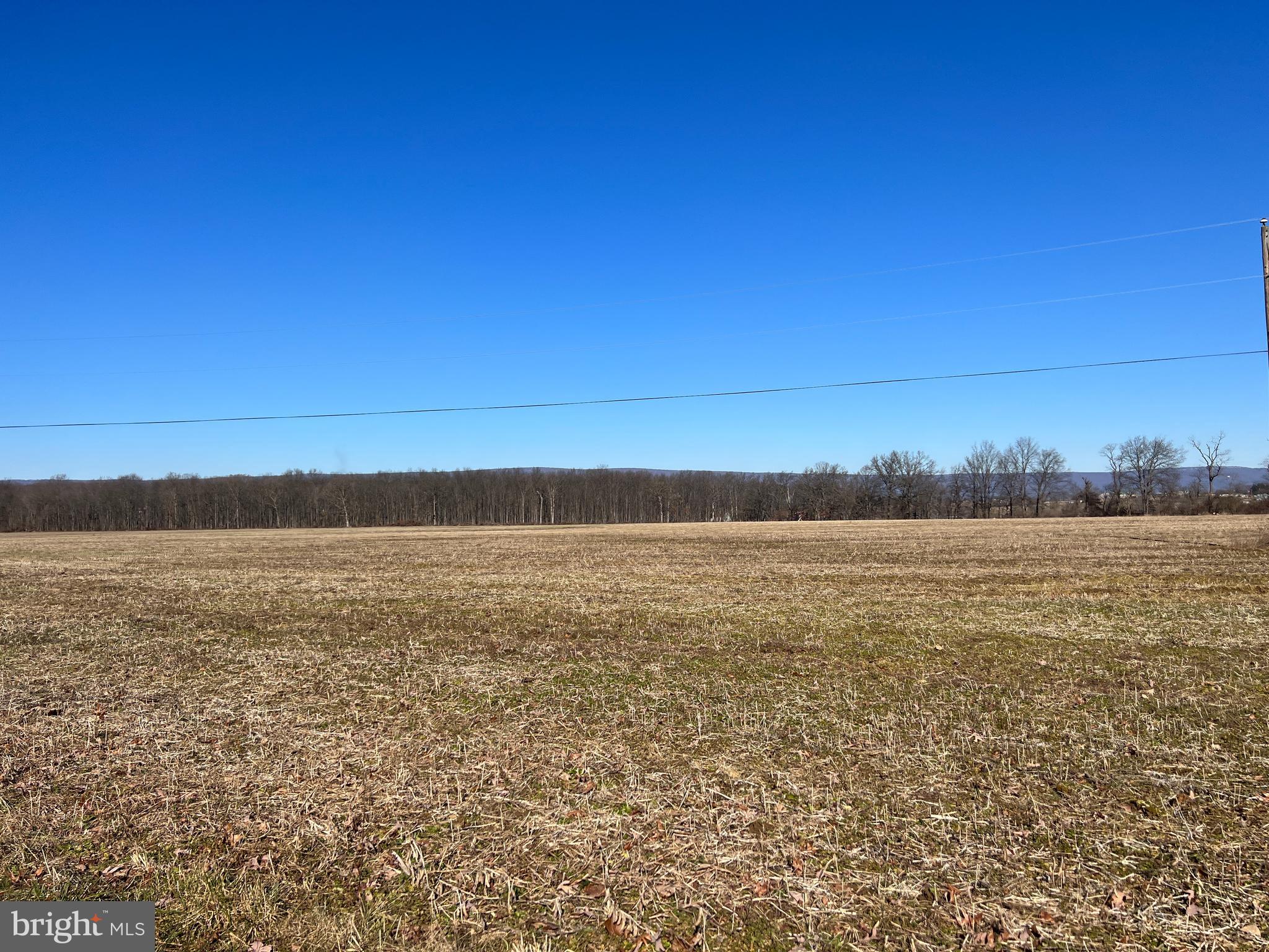 NONE AVAILABLE - Farm