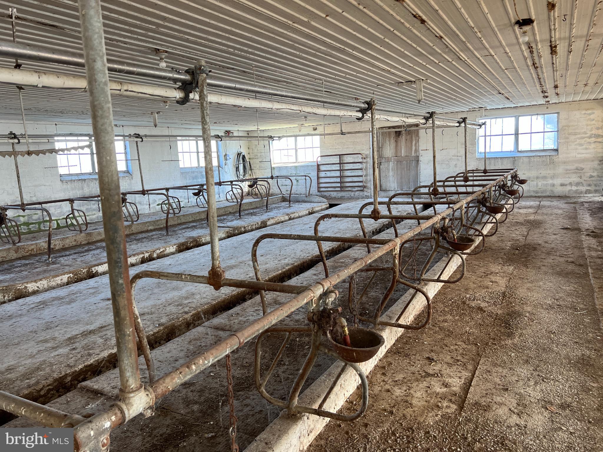 NONE AVAILABLE - Farm