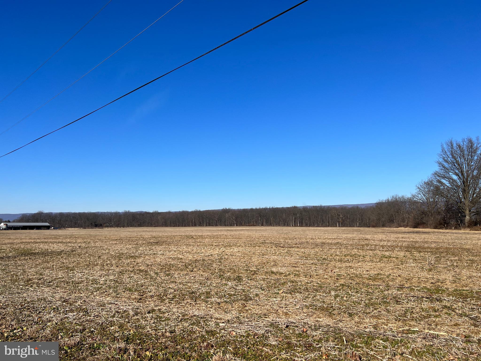 NONE AVAILABLE - Farm