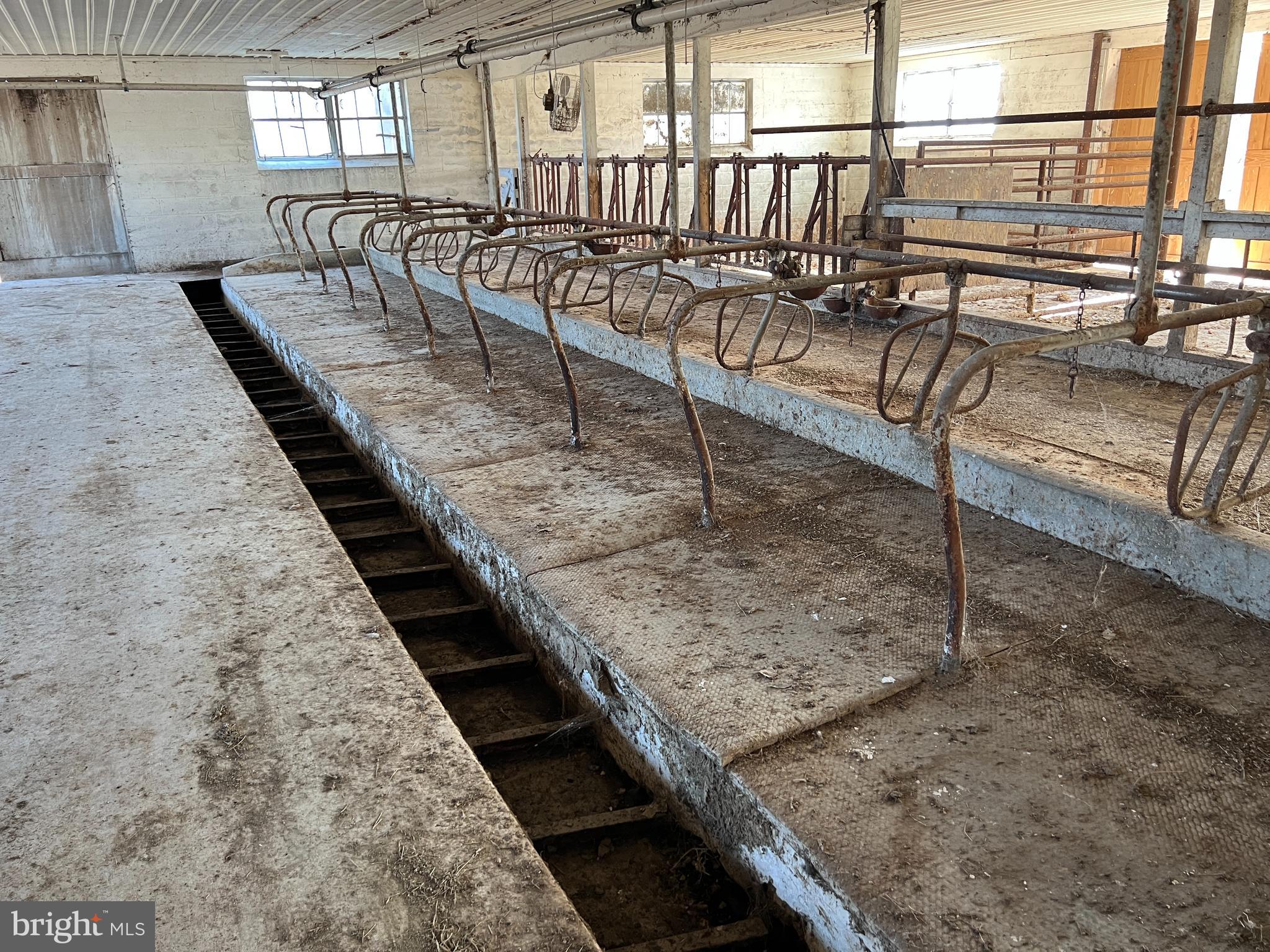 NONE AVAILABLE - Farm