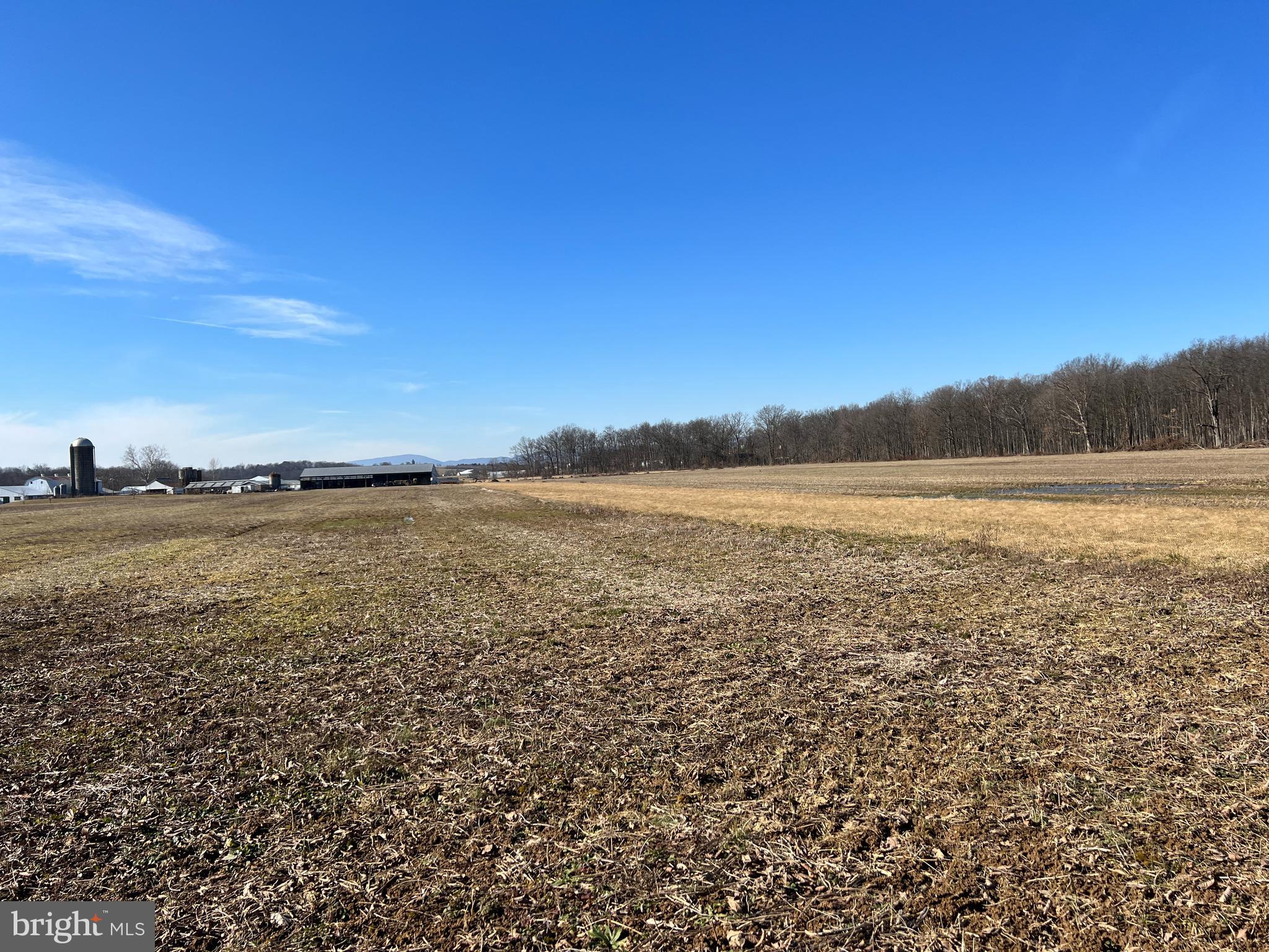 NONE AVAILABLE - Farm