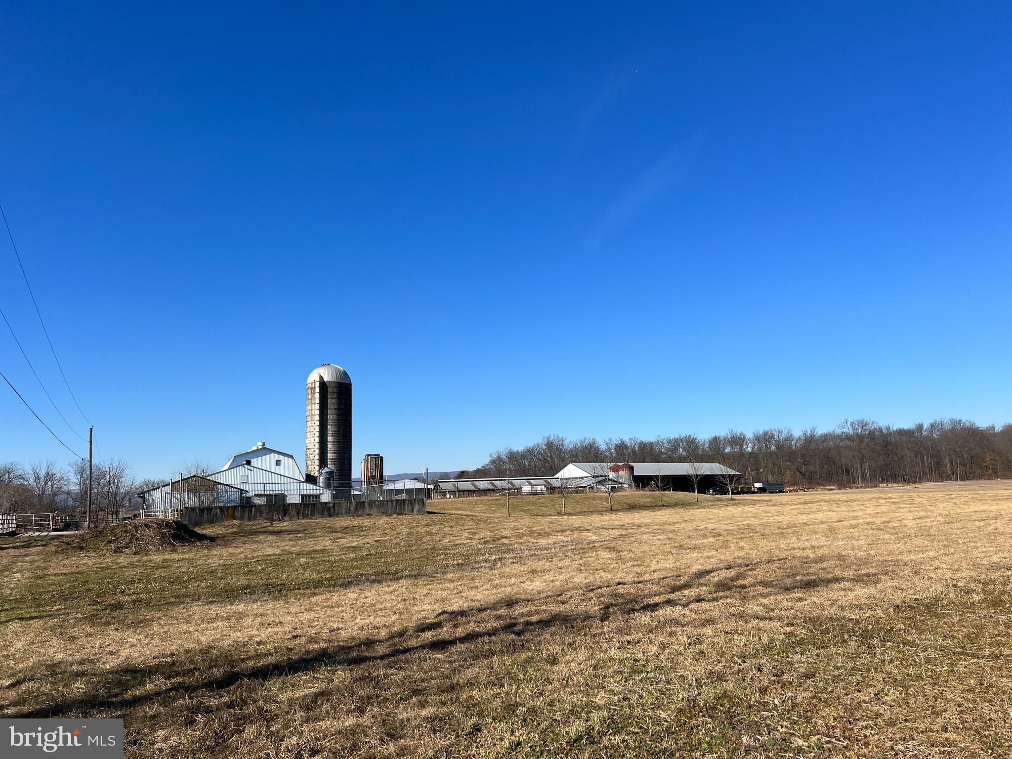 NONE AVAILABLE - Farm