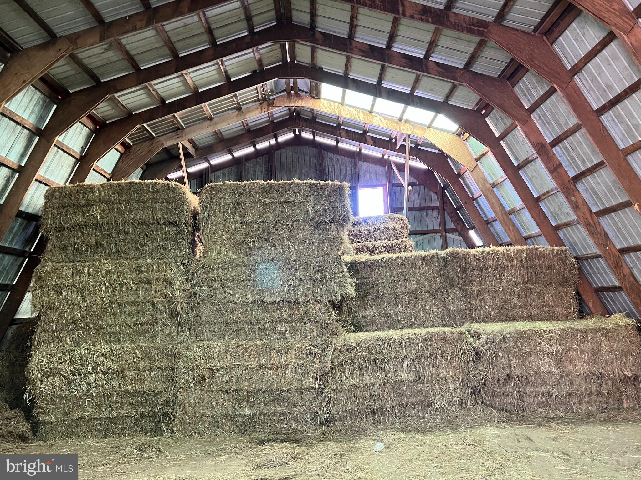 NONE AVAILABLE - Farm