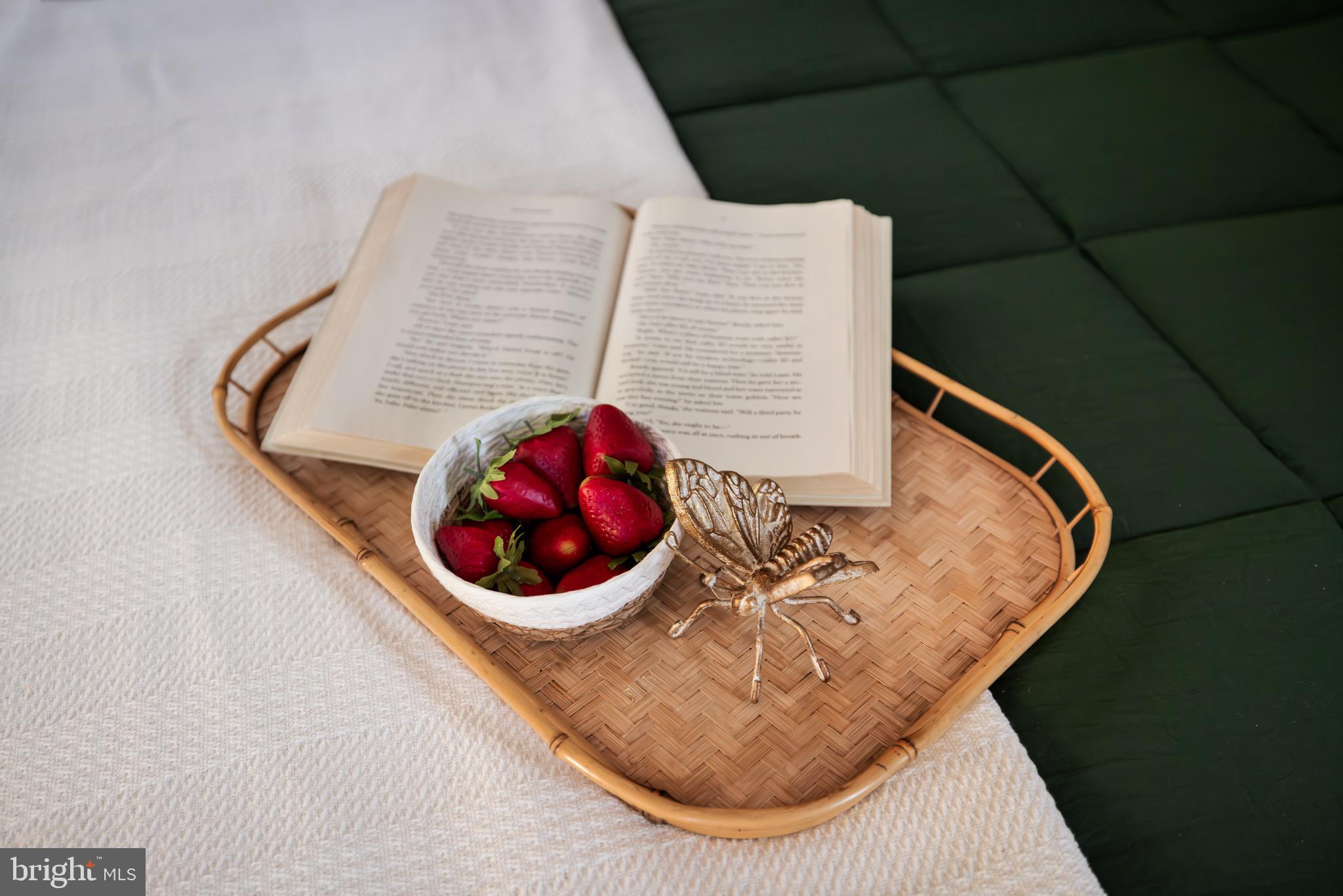 SHANNONDALE - Residential