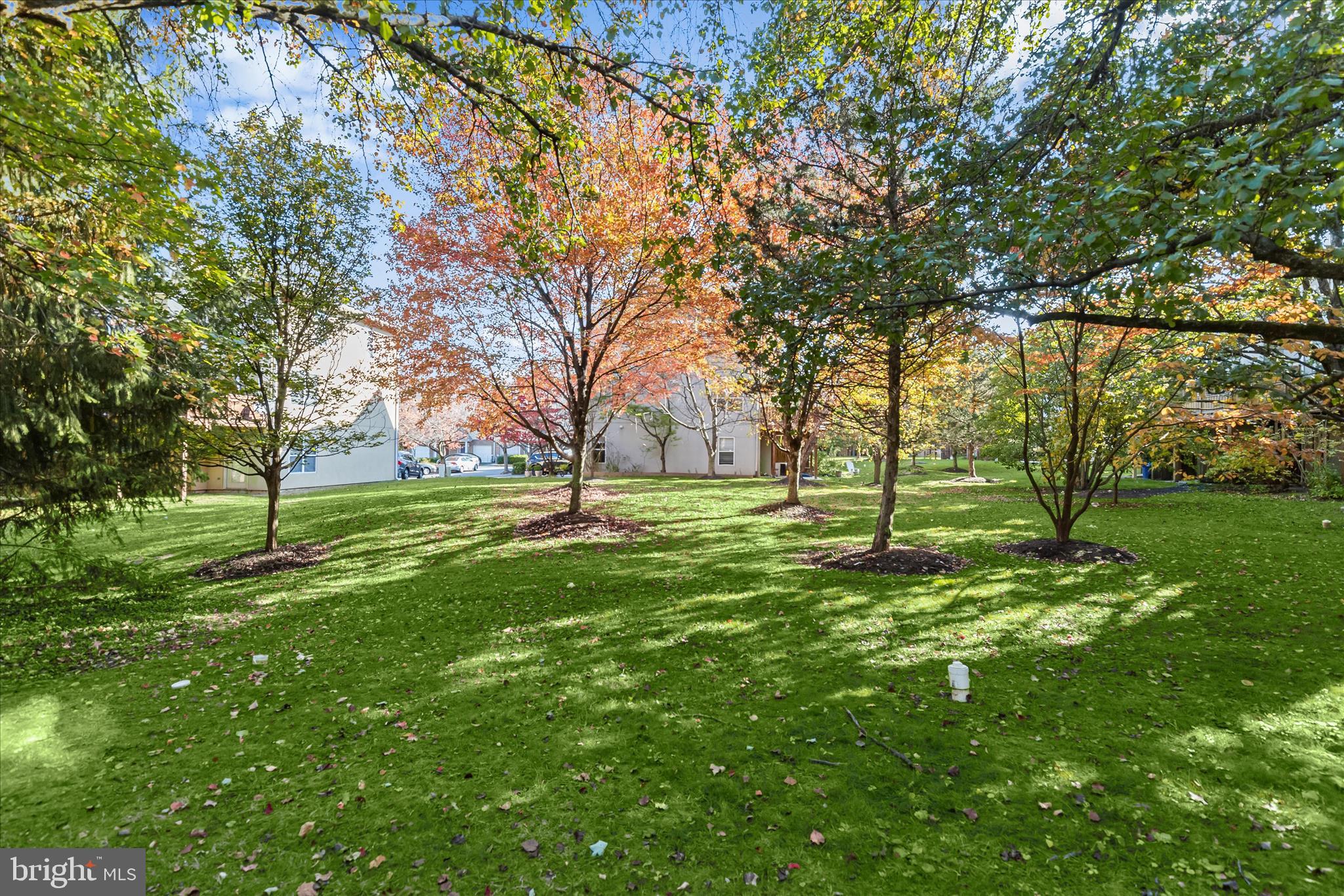 HOMELAND SOUTHWAY - Residential