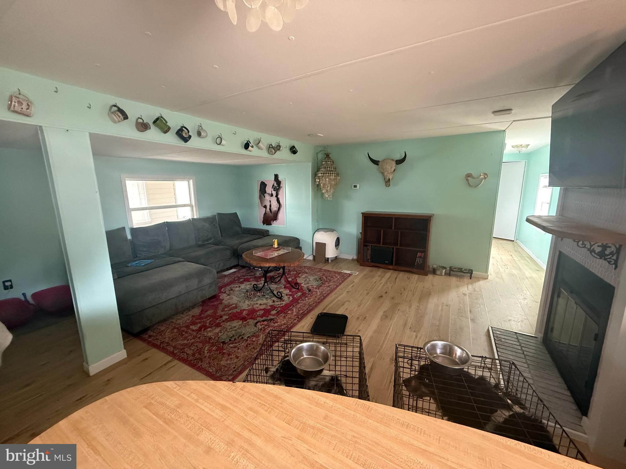36533 N PEBBLE DRIVE 18304