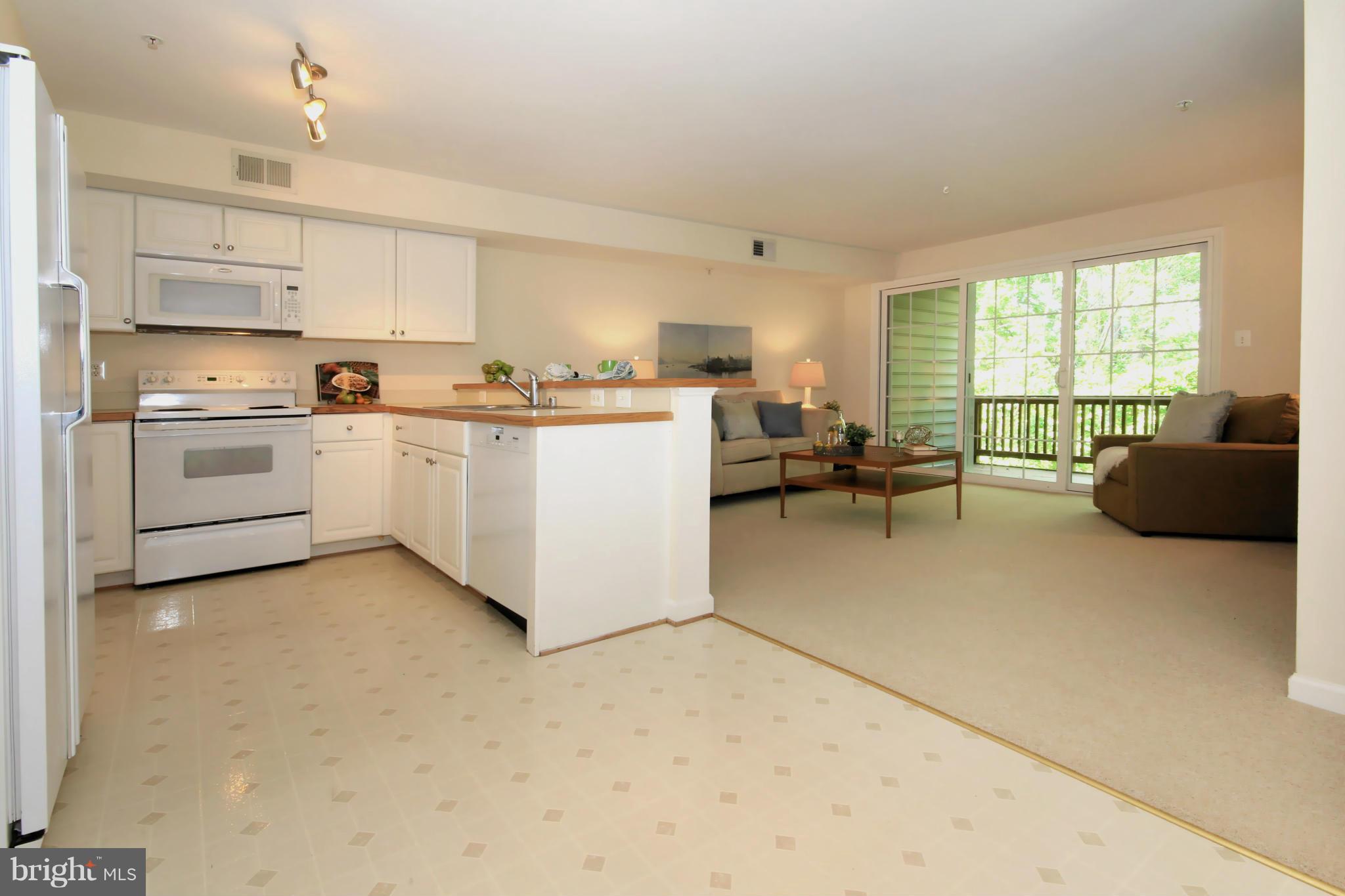 OCCOQUAN POINTE CONDO - Residential