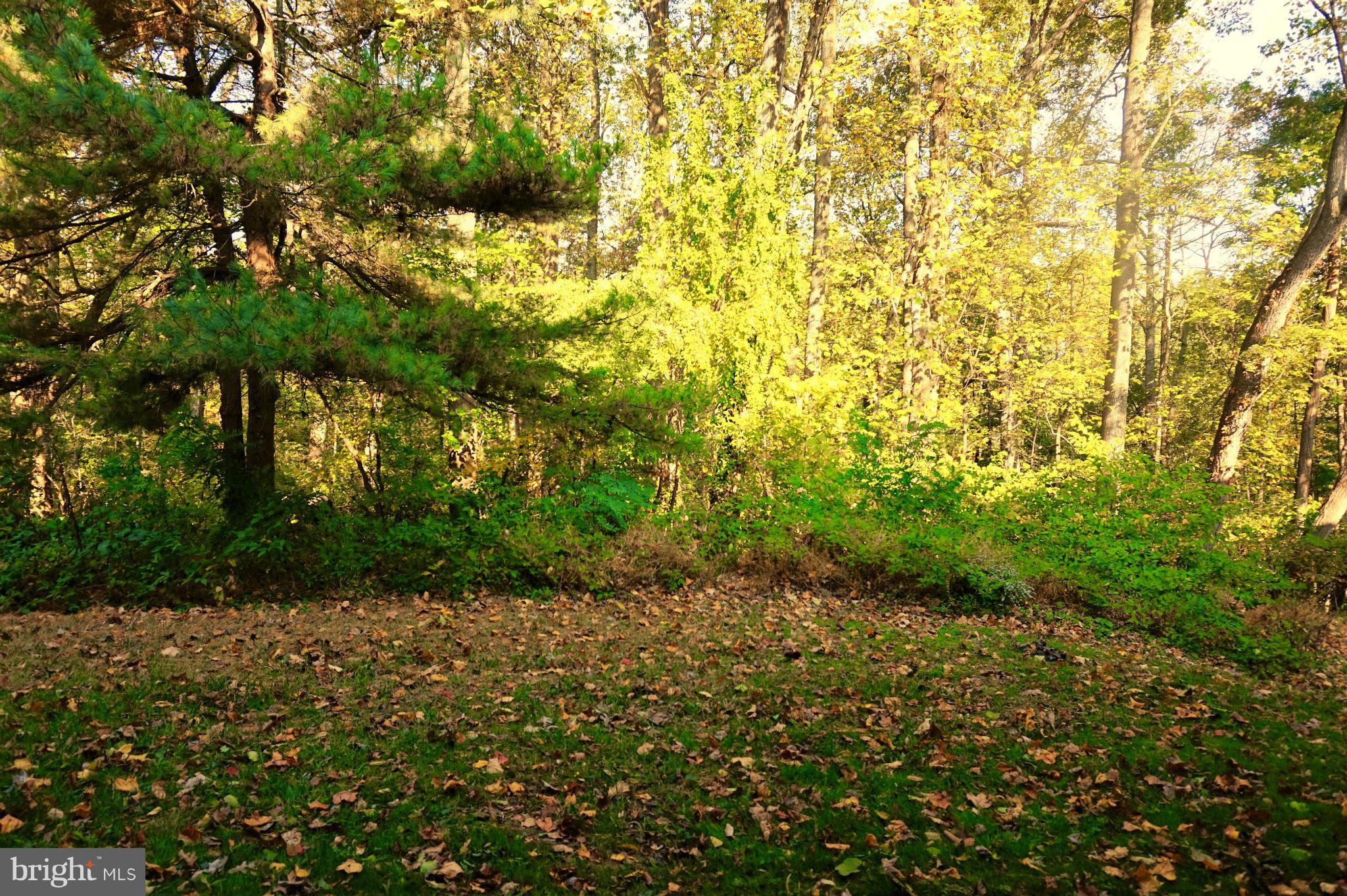 VANTAGE HILL - Residential