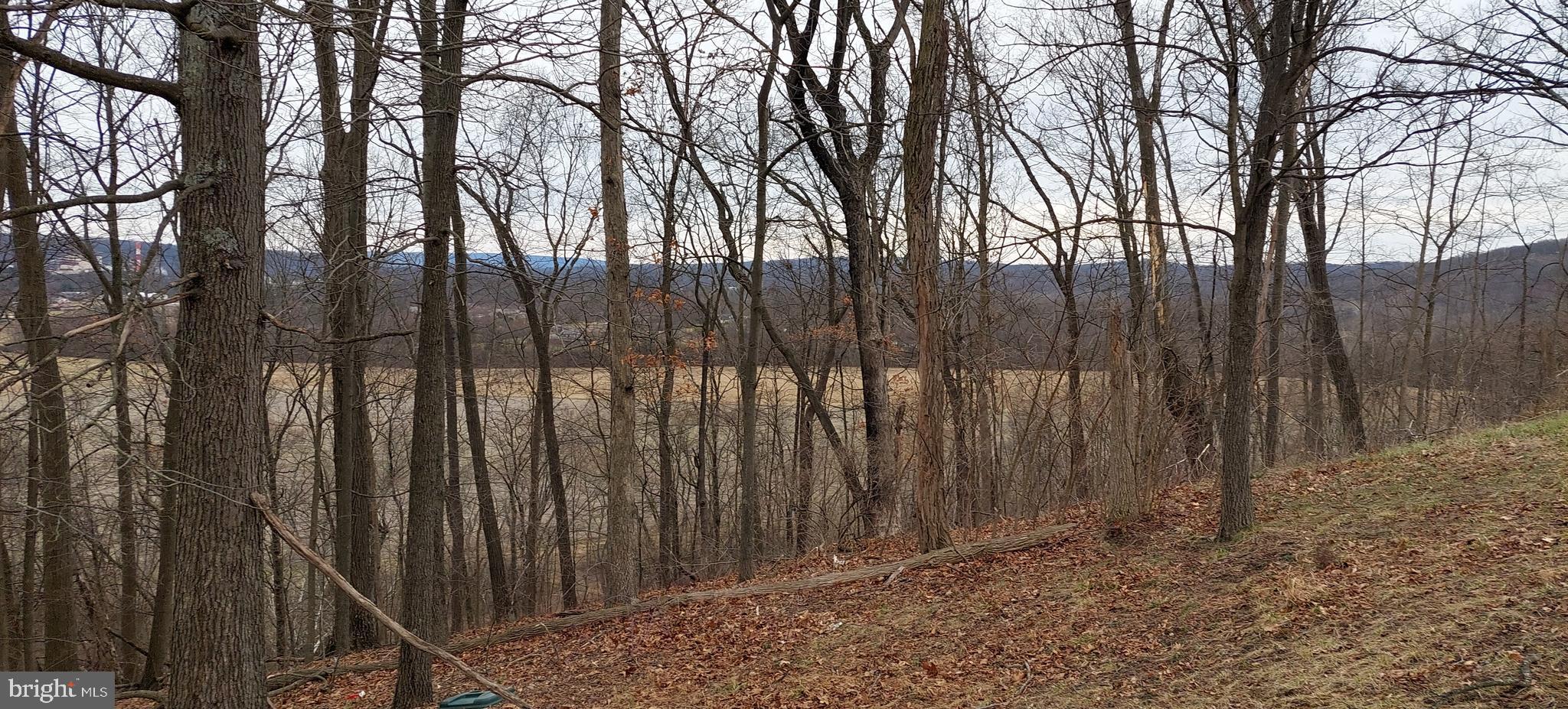 WILEY FORD - Residential