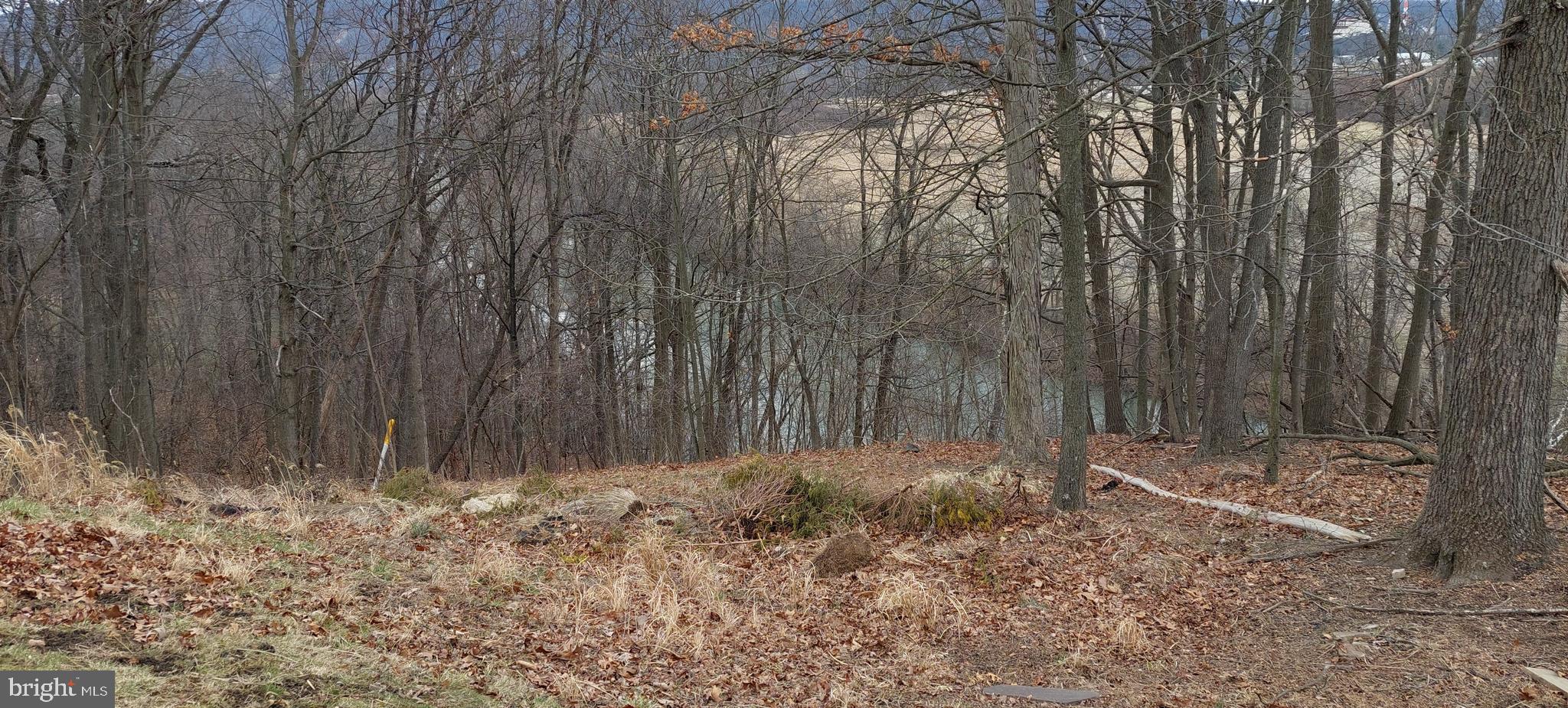 WILEY FORD - Residential