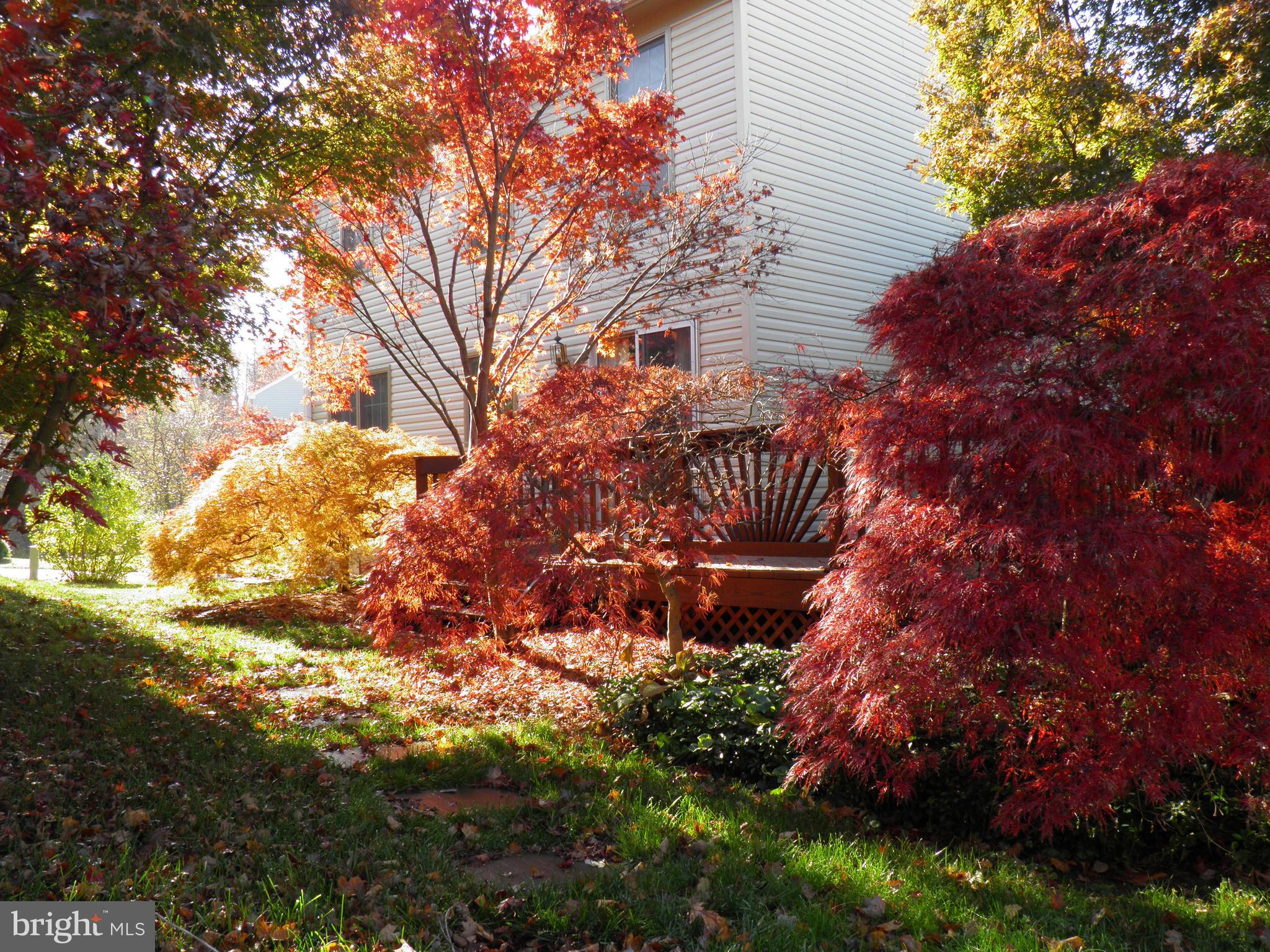 8508 SILVERDALE ROAD