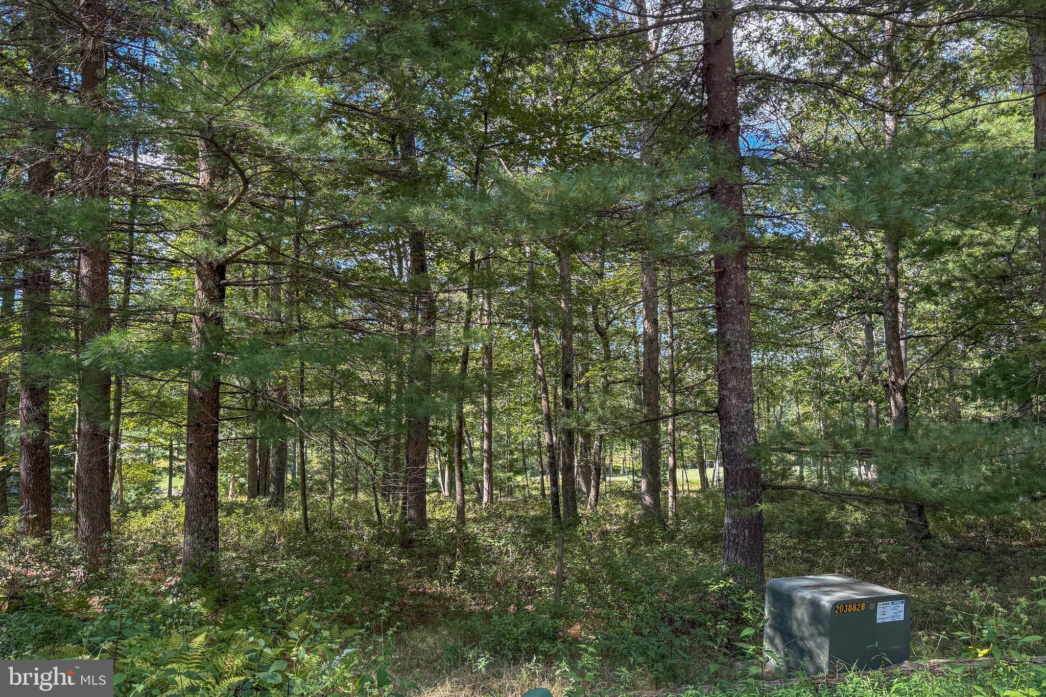 THOUSAND ACRES AT DCL - Land