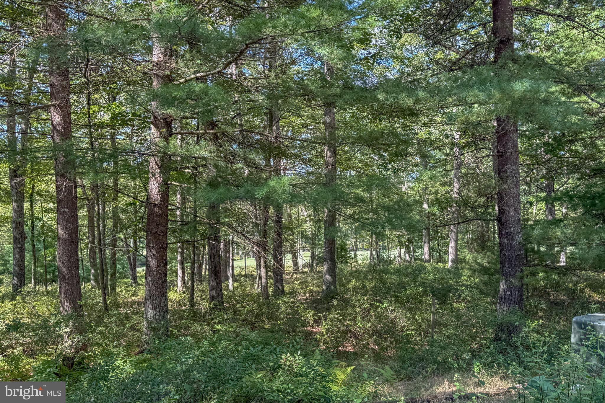 THOUSAND ACRES AT DCL - Land