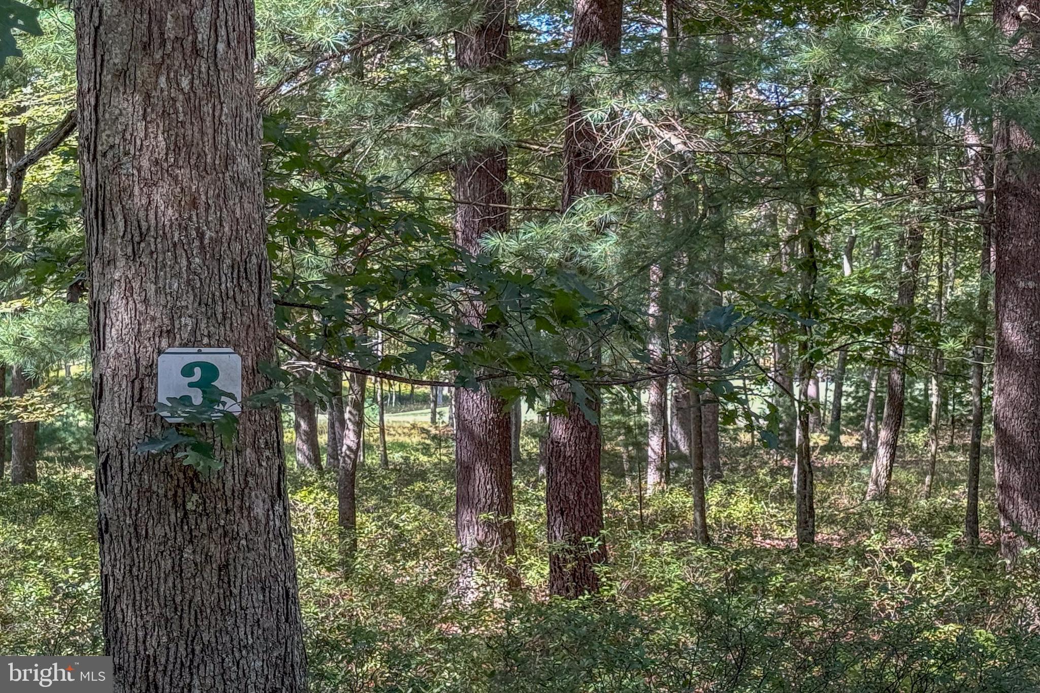 THOUSAND ACRES AT DCL - Land