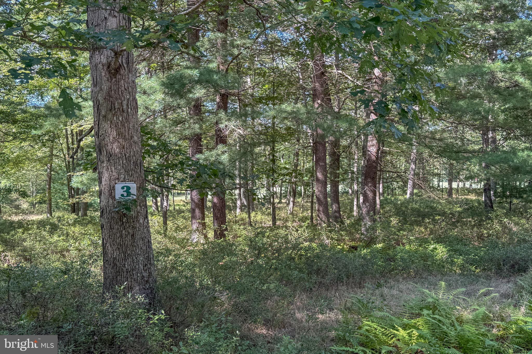 THOUSAND ACRES AT DCL - Land