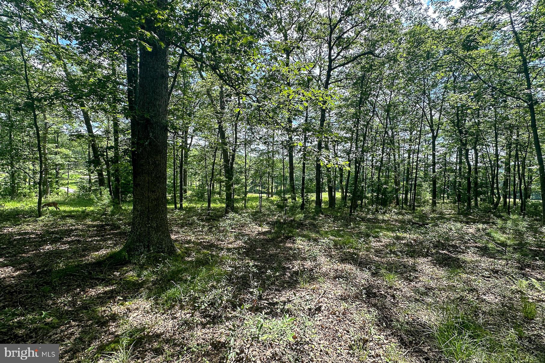 THOUSAND ACRES AT DCL - Land