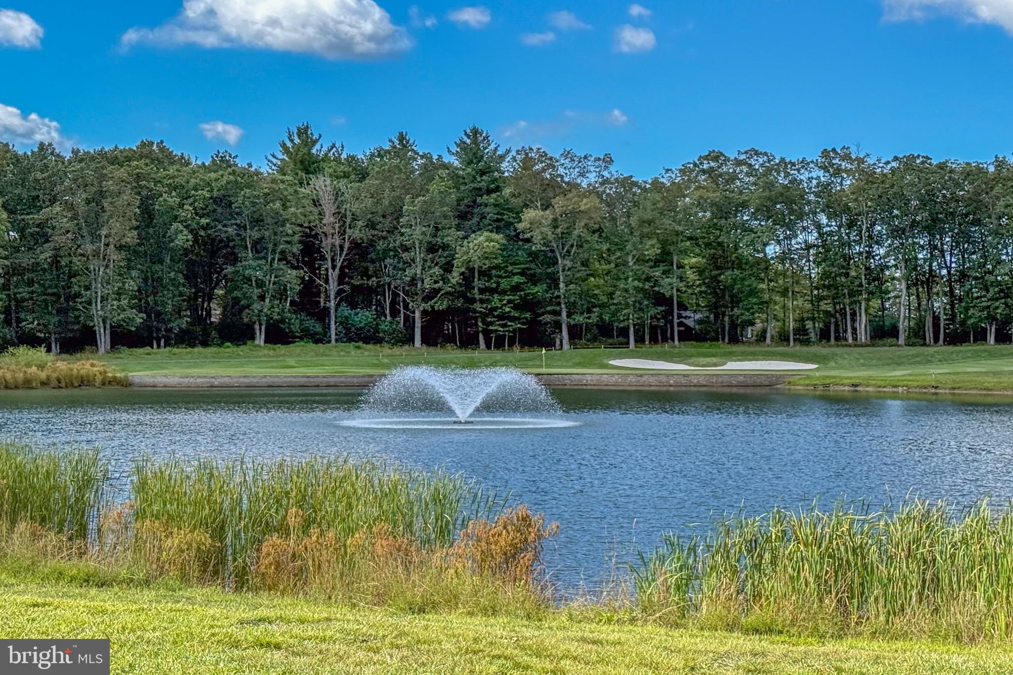 THOUSAND ACRES AT DCL - Land