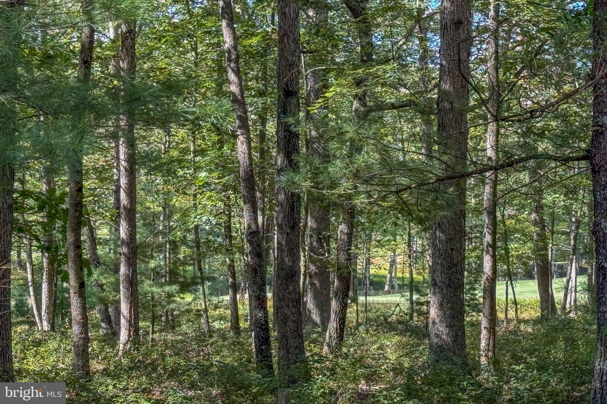 THOUSAND ACRES AT DCL - Land