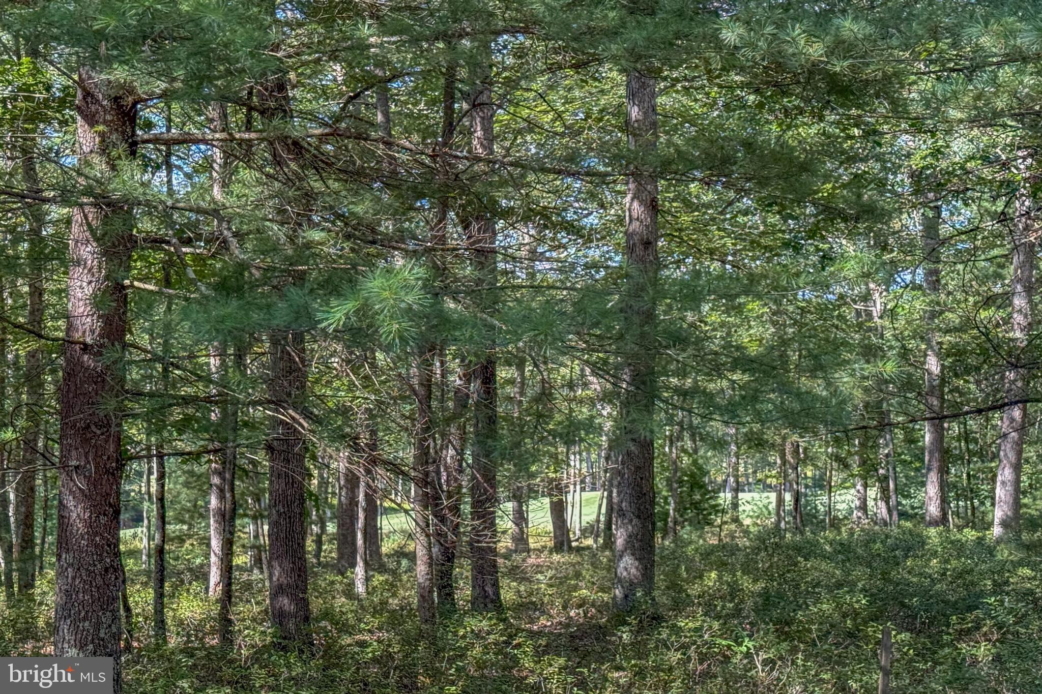 THOUSAND ACRES AT DCL - Land