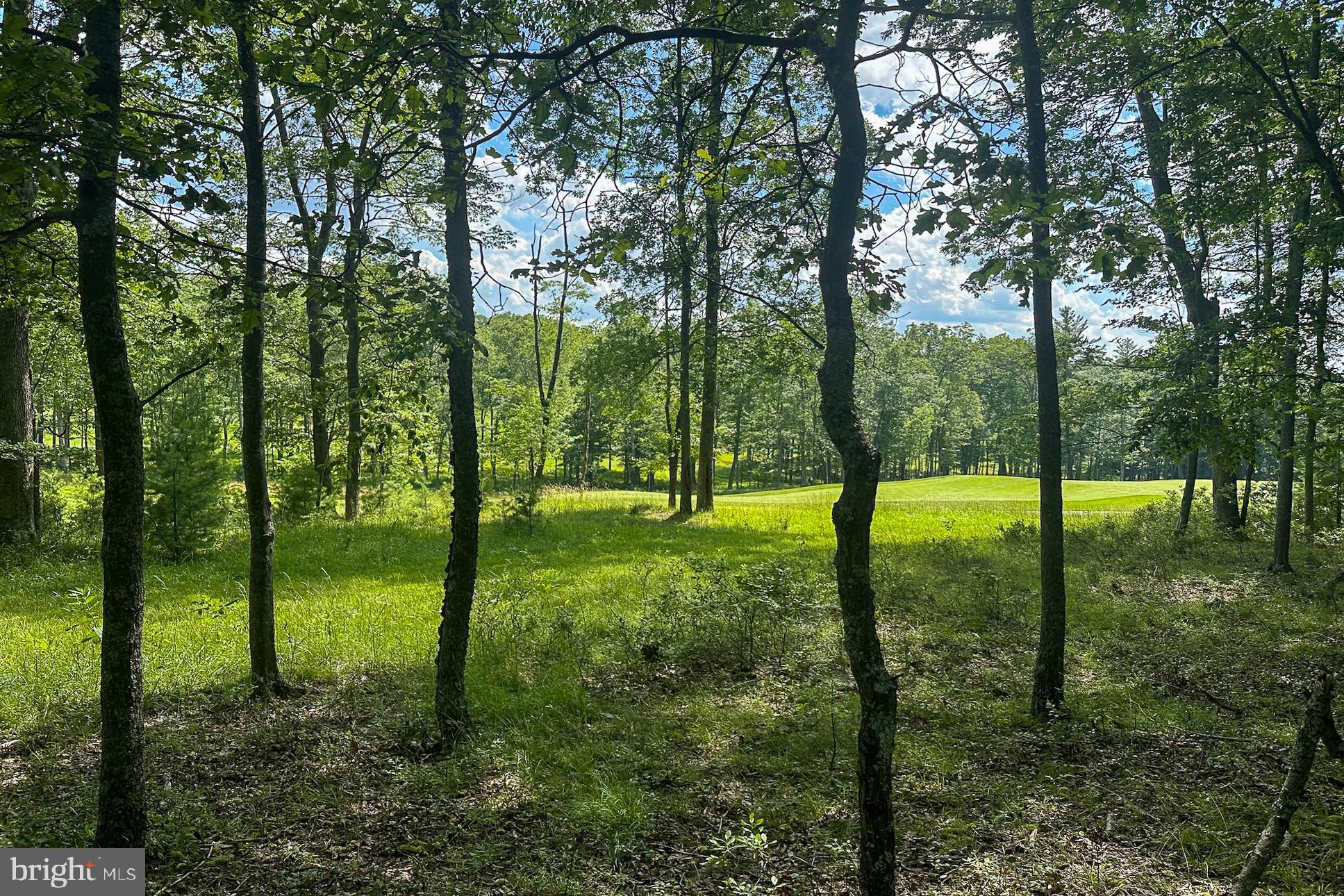 THOUSAND ACRES AT DCL - Land