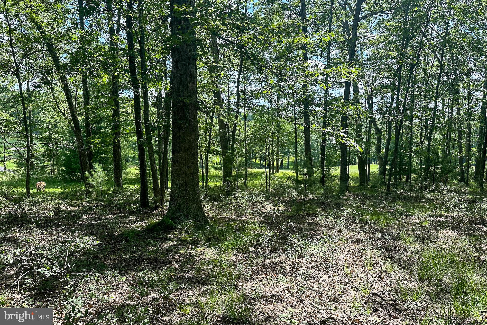 THOUSAND ACRES AT DCL - Land