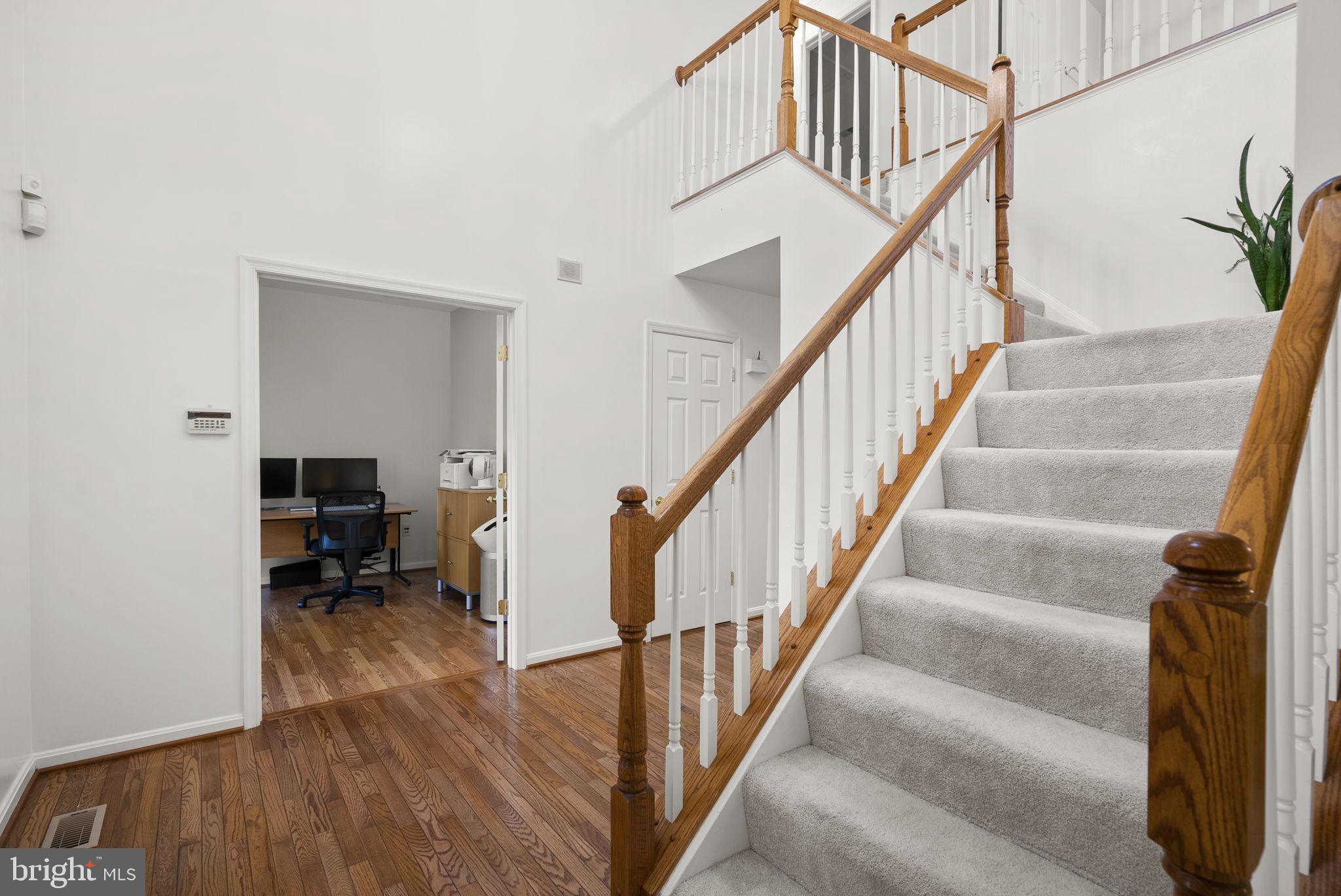 4012 COTTON TREE LANE