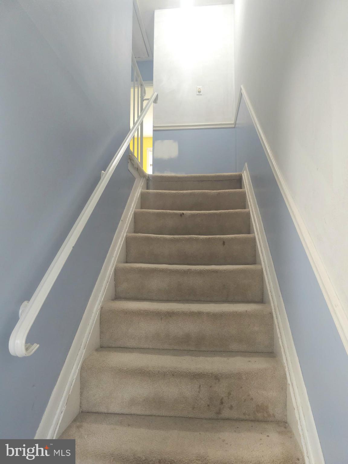 CLOVERBERRY - Residential