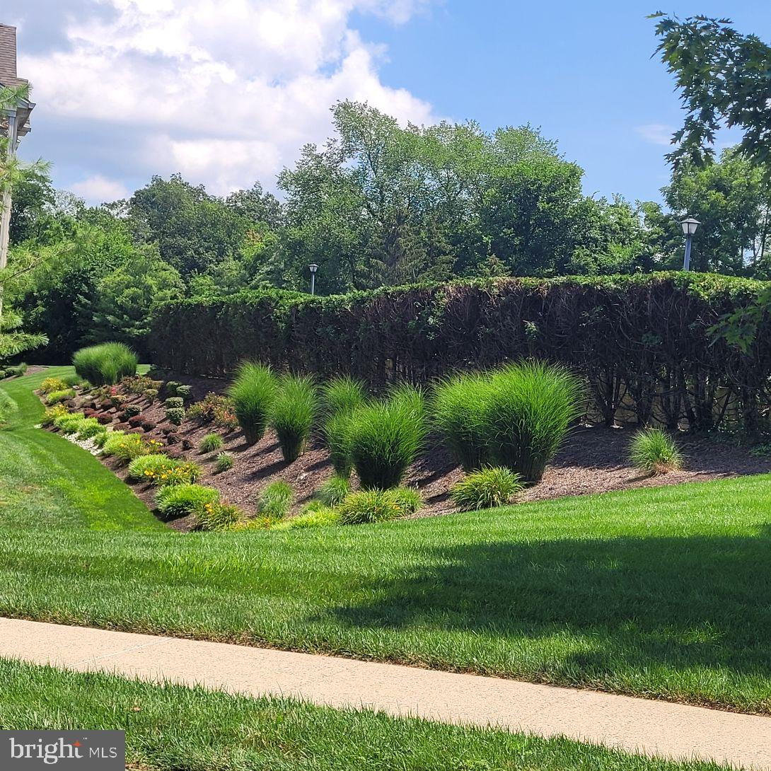 FOREST RIDGE - Residential