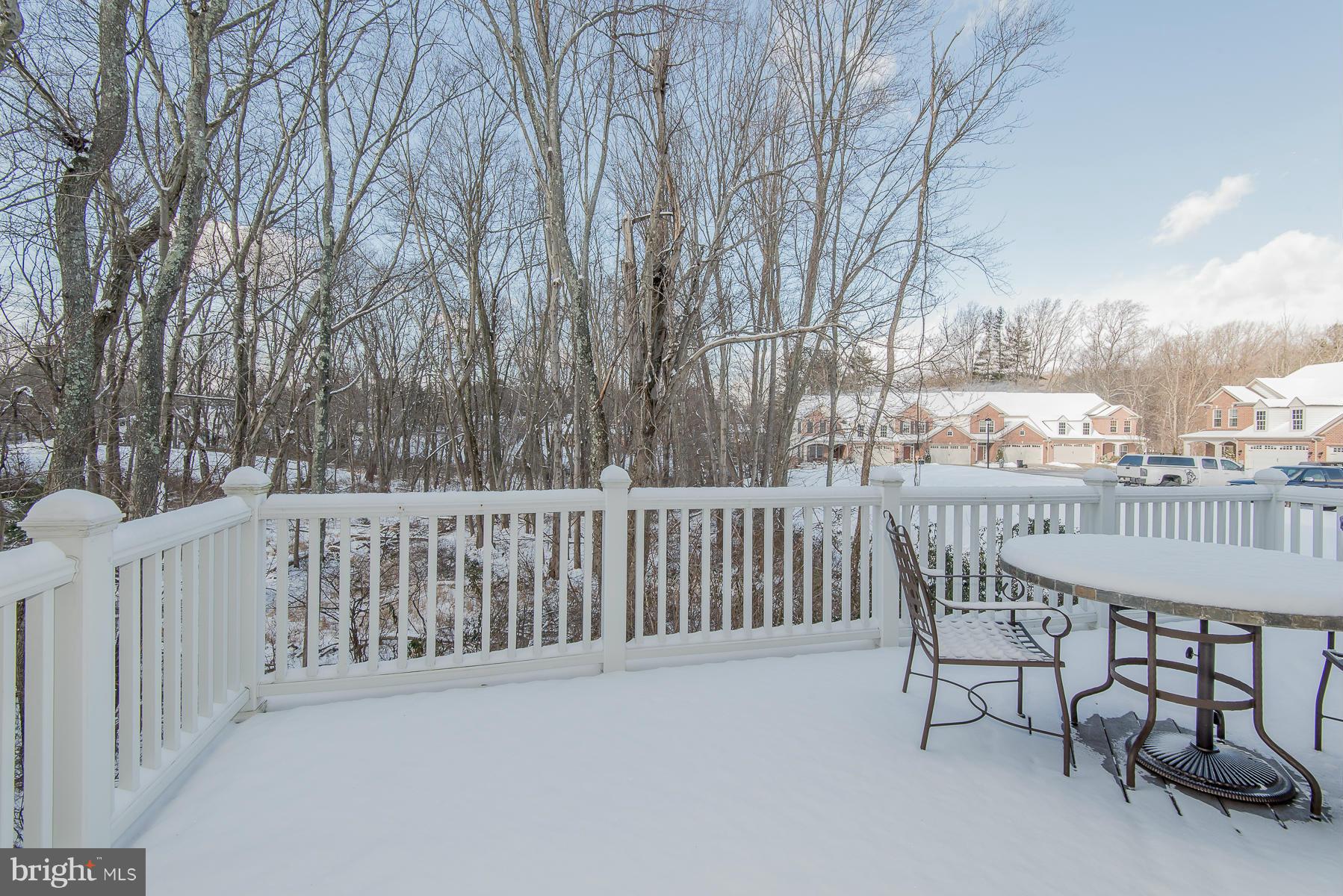 ENCLAVE AT ELLICOTT STATION - Residential