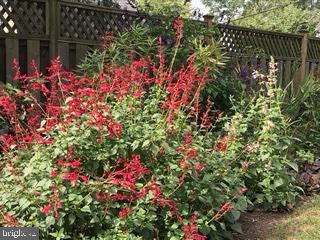 WAWASET PARK - Residential