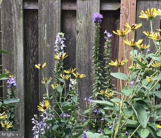 WAWASET PARK - Residential