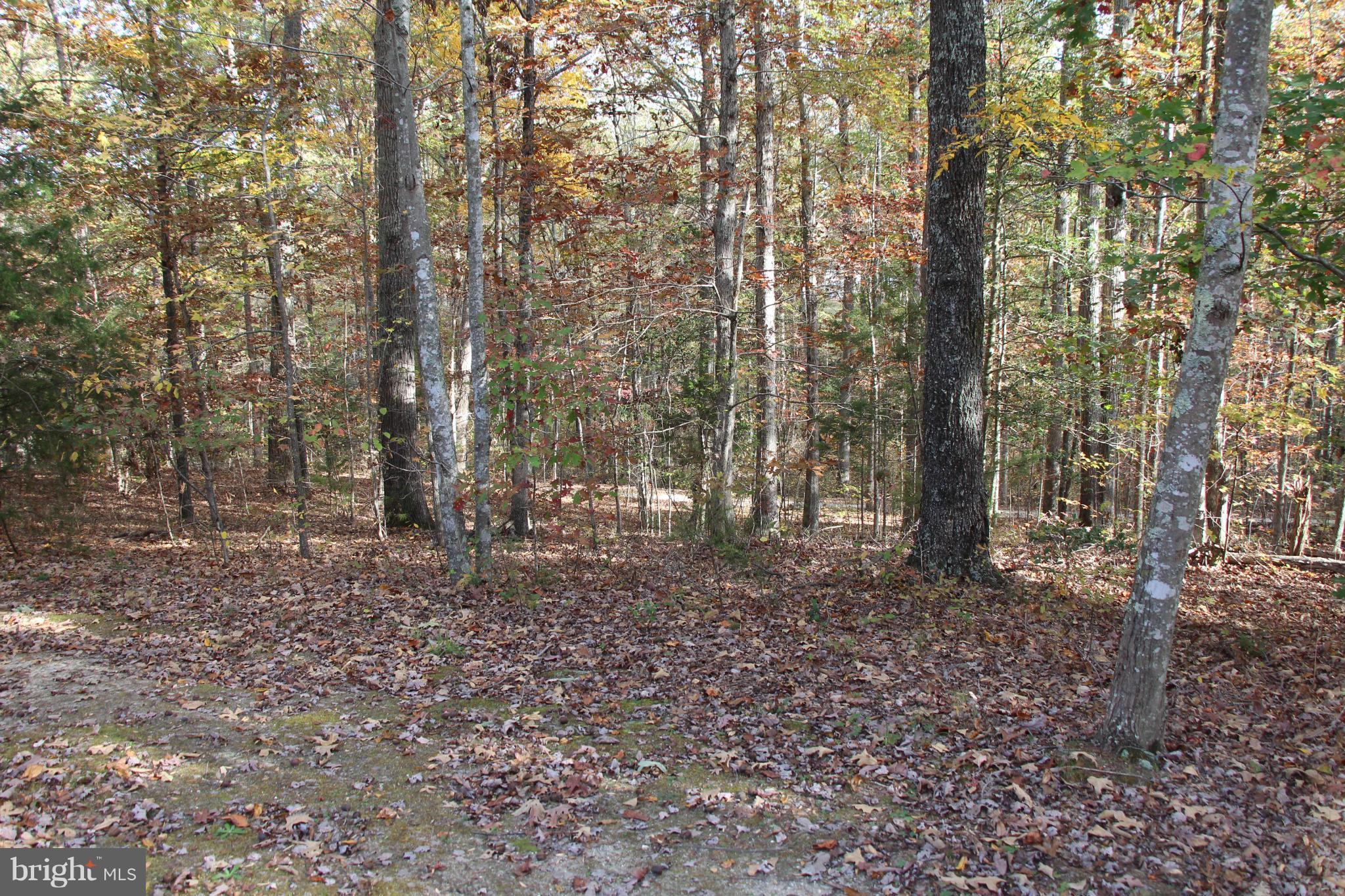 VILLEBORO - Residential