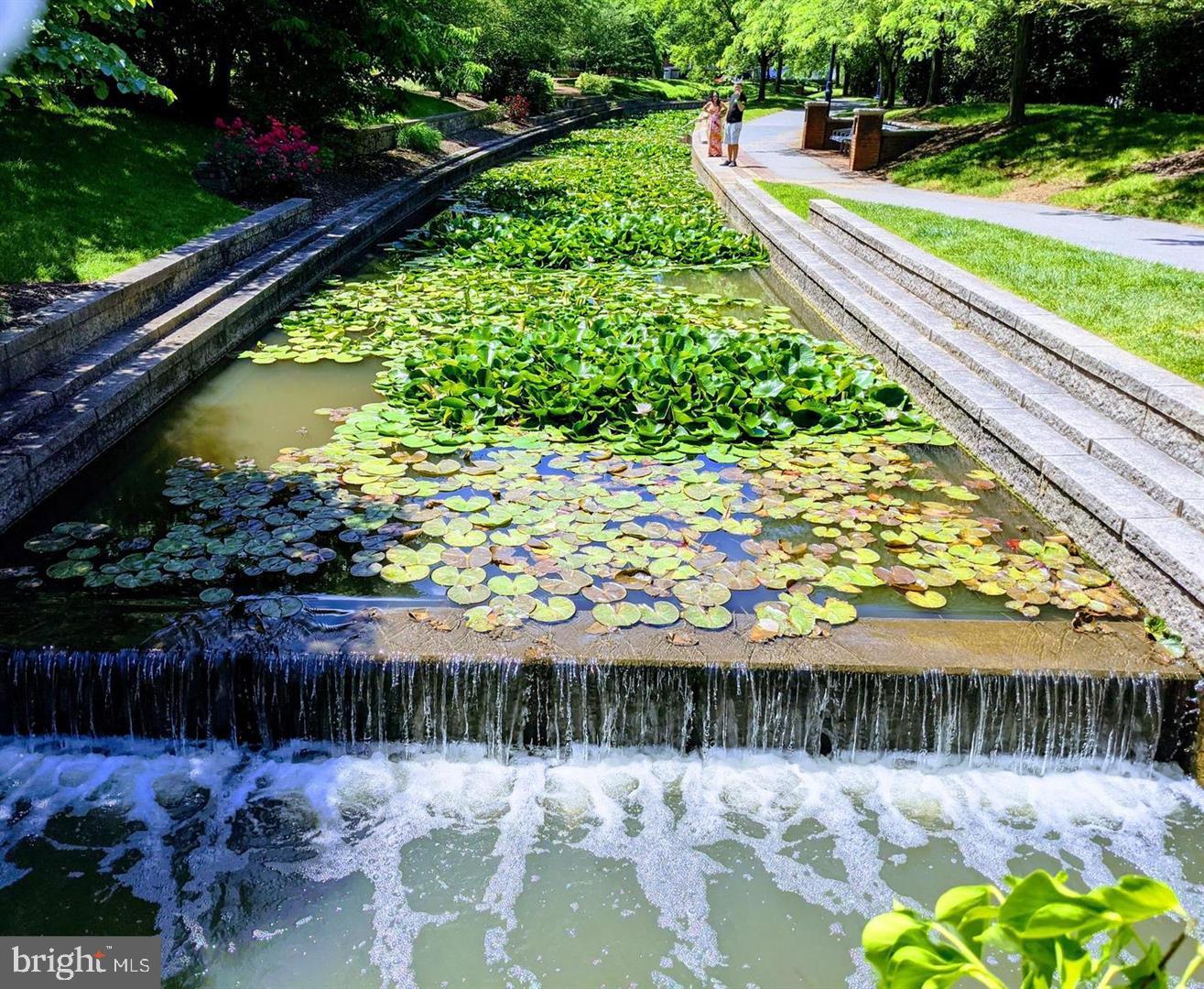 FREDERICK HISTORIC DISTRICT - Residential Income