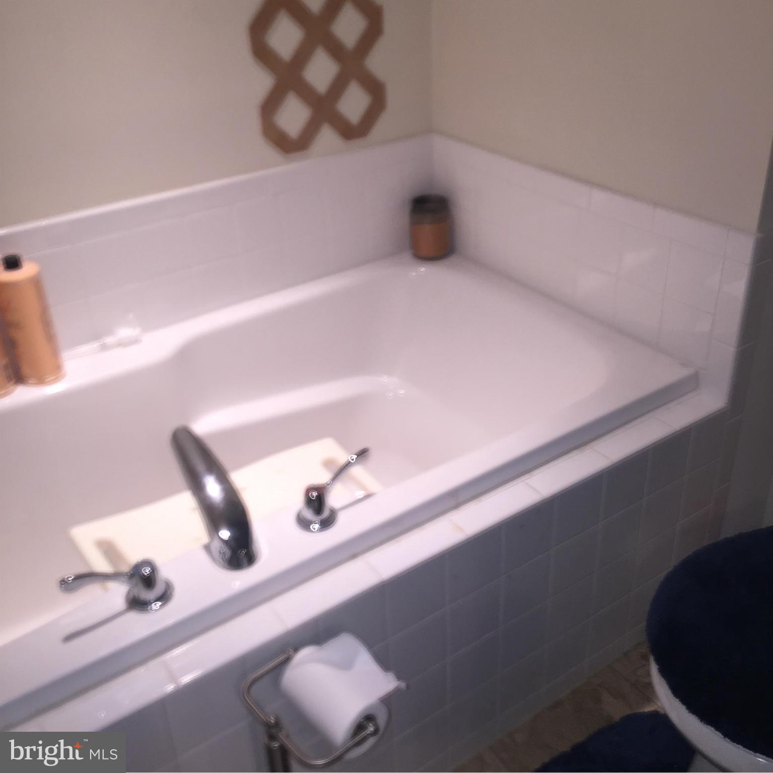 LAKELAND PLACE - Residential