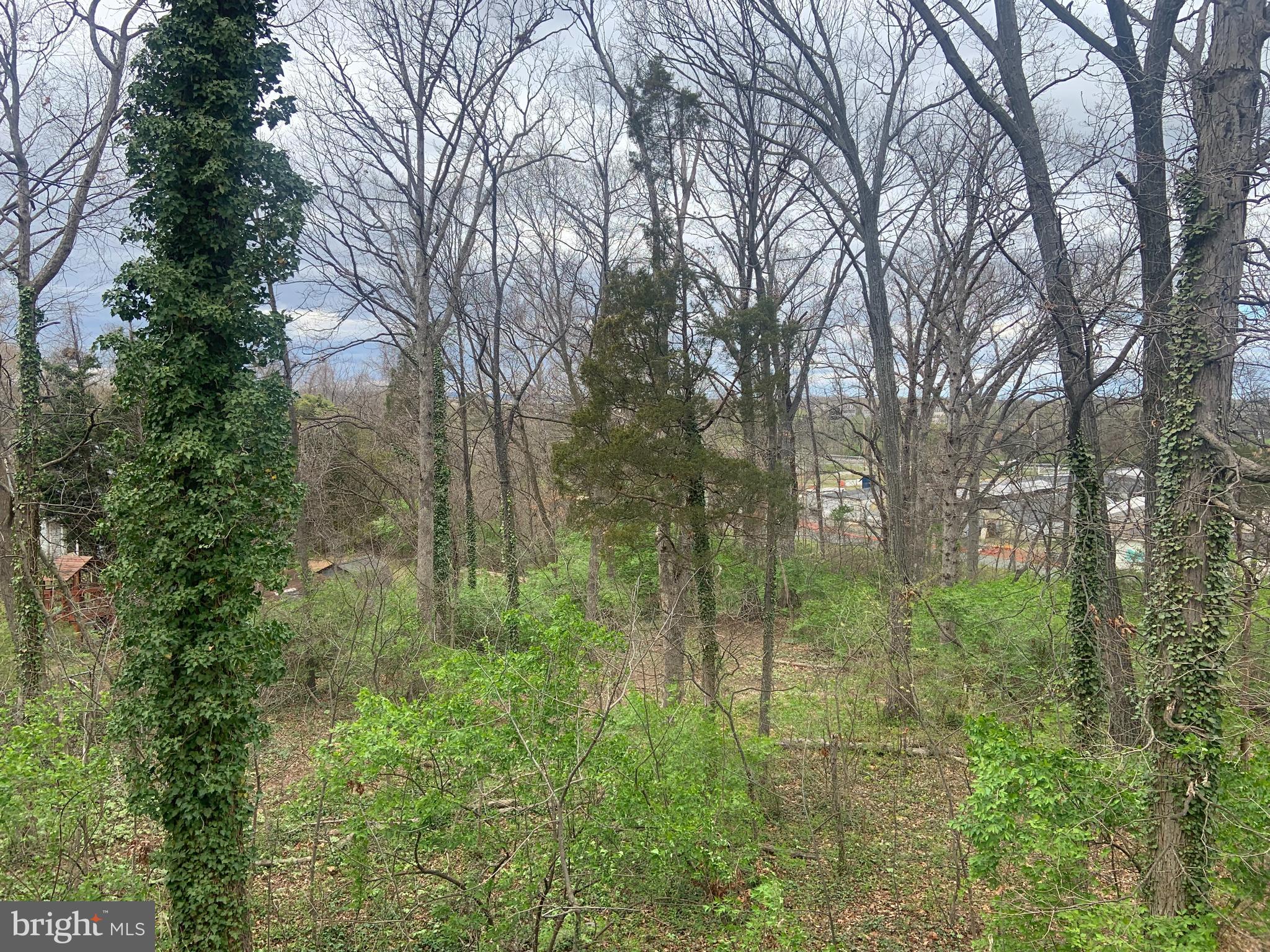 ROLLINGWOOD - Residential Lease