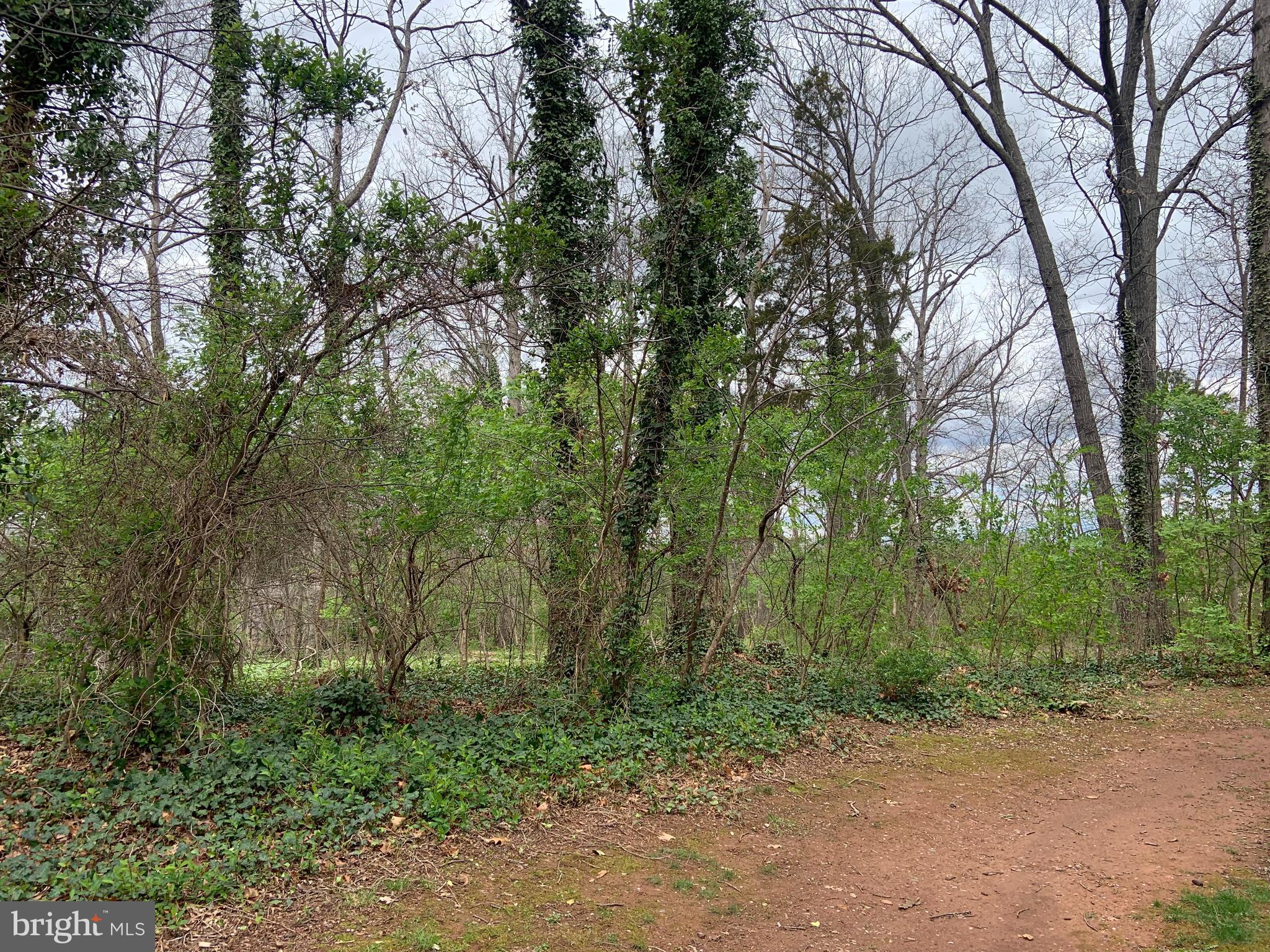 ROLLINGWOOD - Residential Lease