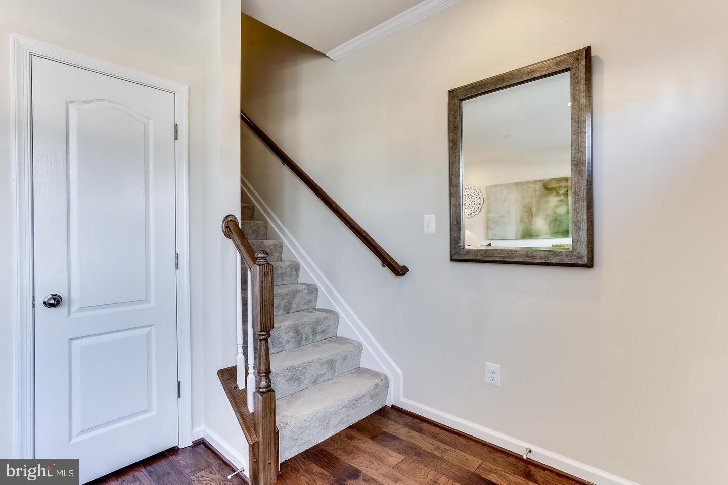 DORCHESTER VIEW - Residential