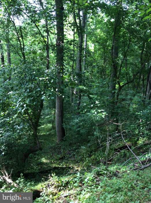 CROSSINGS ON THE POTOMAC - Land