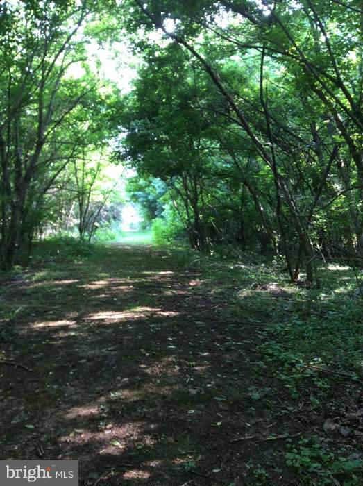 CROSSINGS ON THE POTOMAC - Land