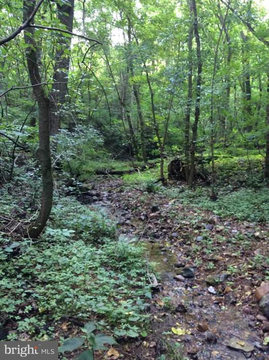 CROSSINGS ON THE POTOMAC - Land