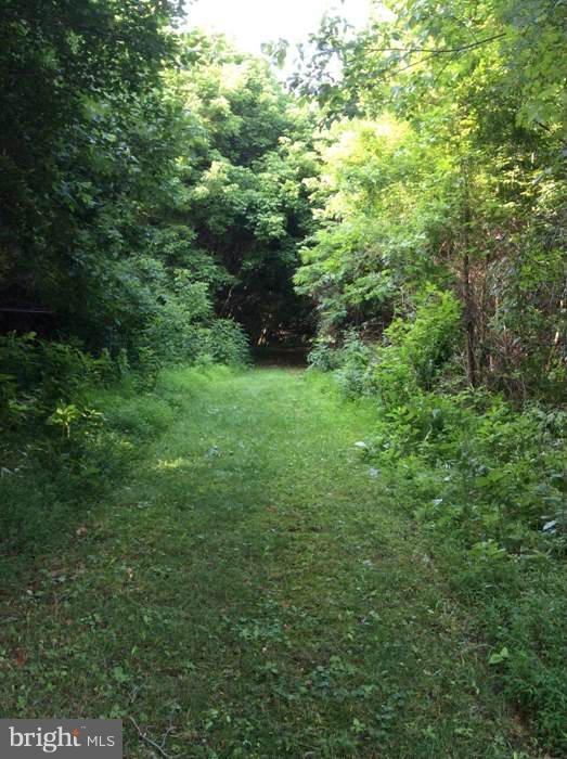 CROSSINGS ON THE POTOMAC - Land