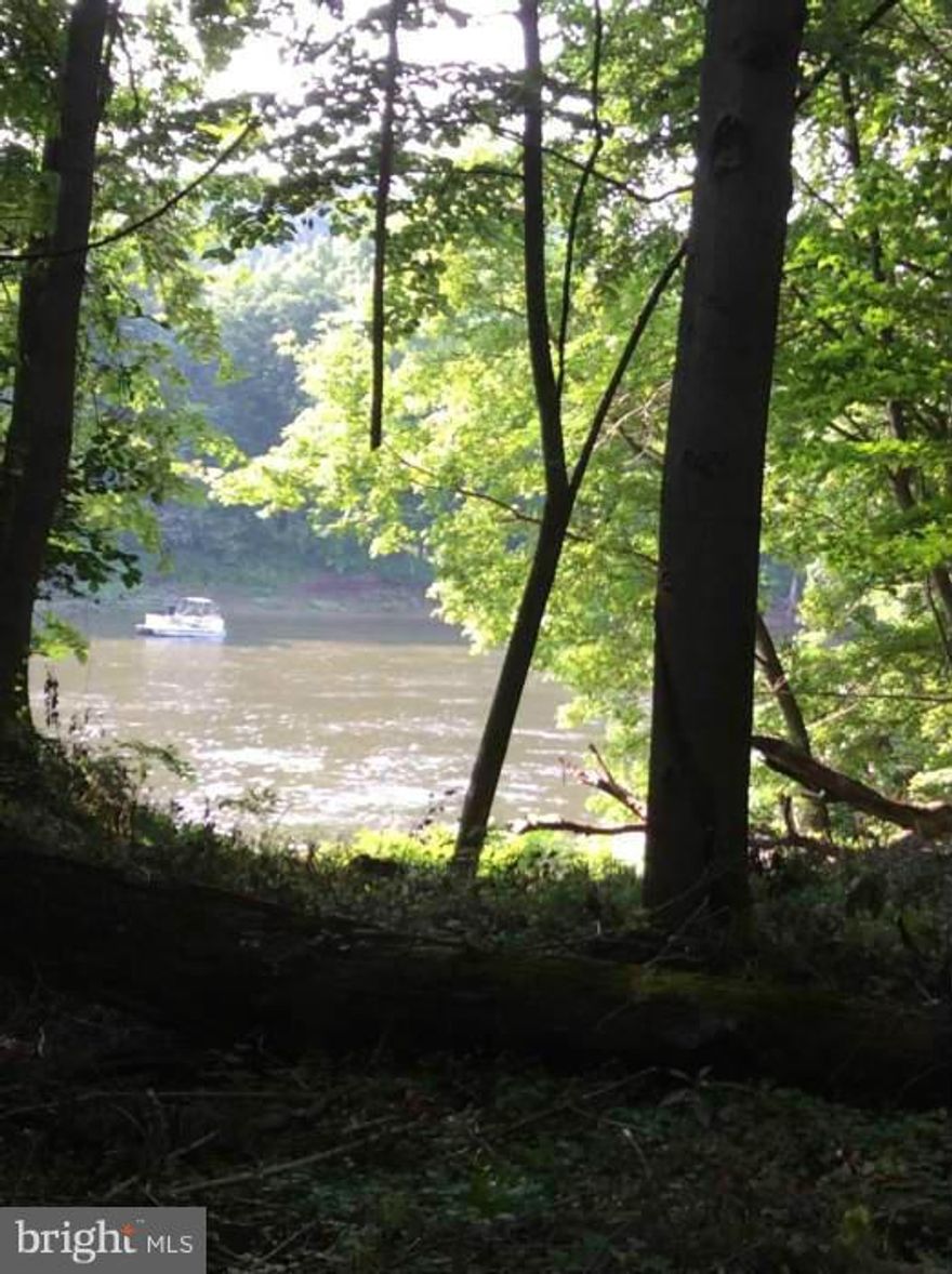 Come and enjoy the River today! 8.60 wooded acres in the Upscale Gated Community of the Crossings on The Potomac. The lot features a well,electric,wet weather stream,view of the river, w/ paved roads.A community marina, private river access w/a Boat Ramp and Docks on 8 miles of River for boating, jet skiing,swimming,fishing and relaxing.Perfect location (close to I-81) to build your new home on.