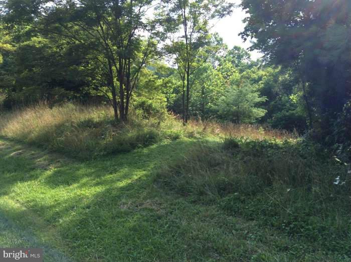 CROSSINGS ON THE POTOMAC - Land