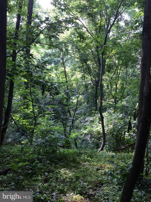 CROSSINGS ON THE POTOMAC - Land