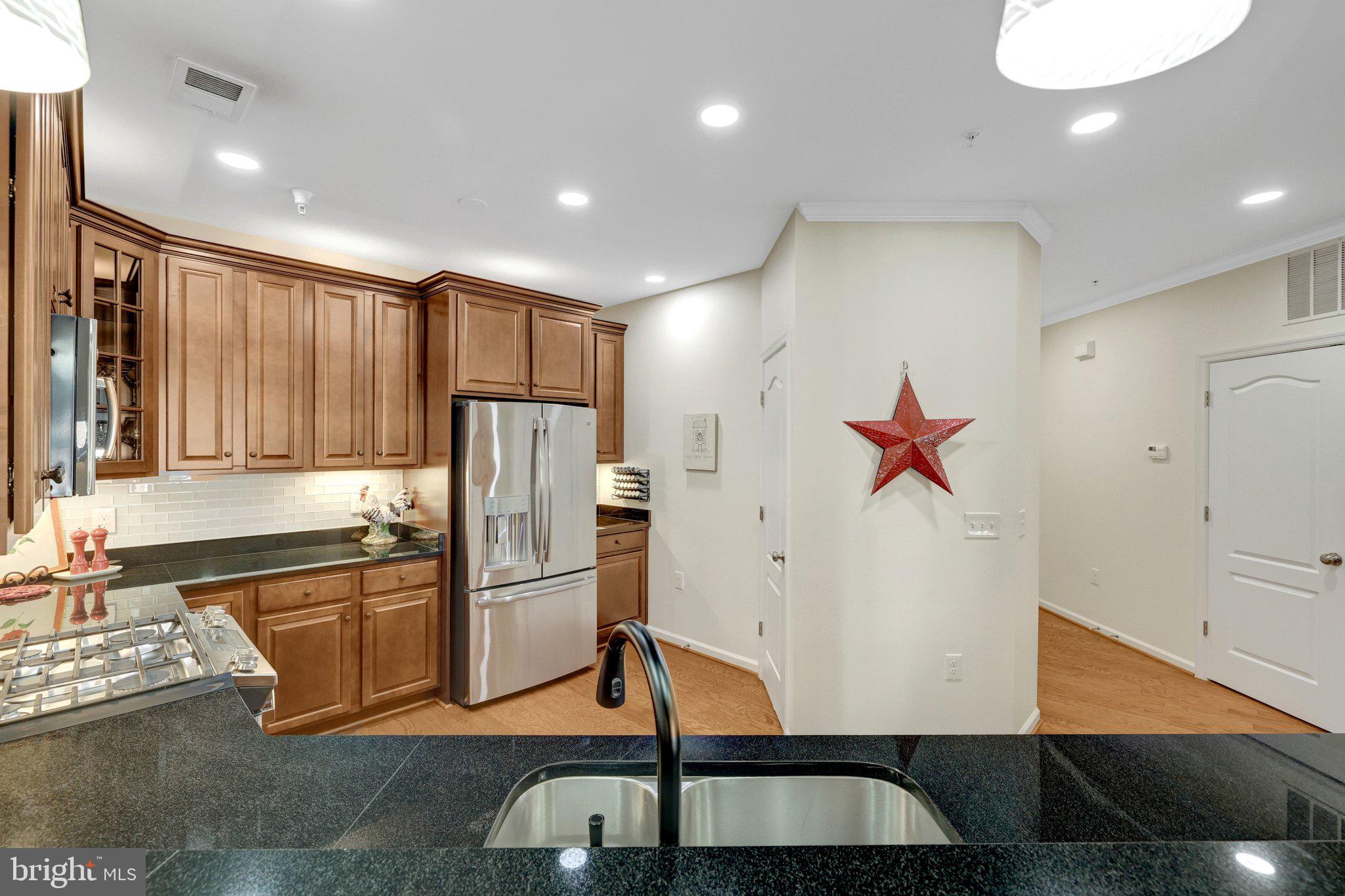 24637 WOOLLY MAMMOTH TERRACE 307