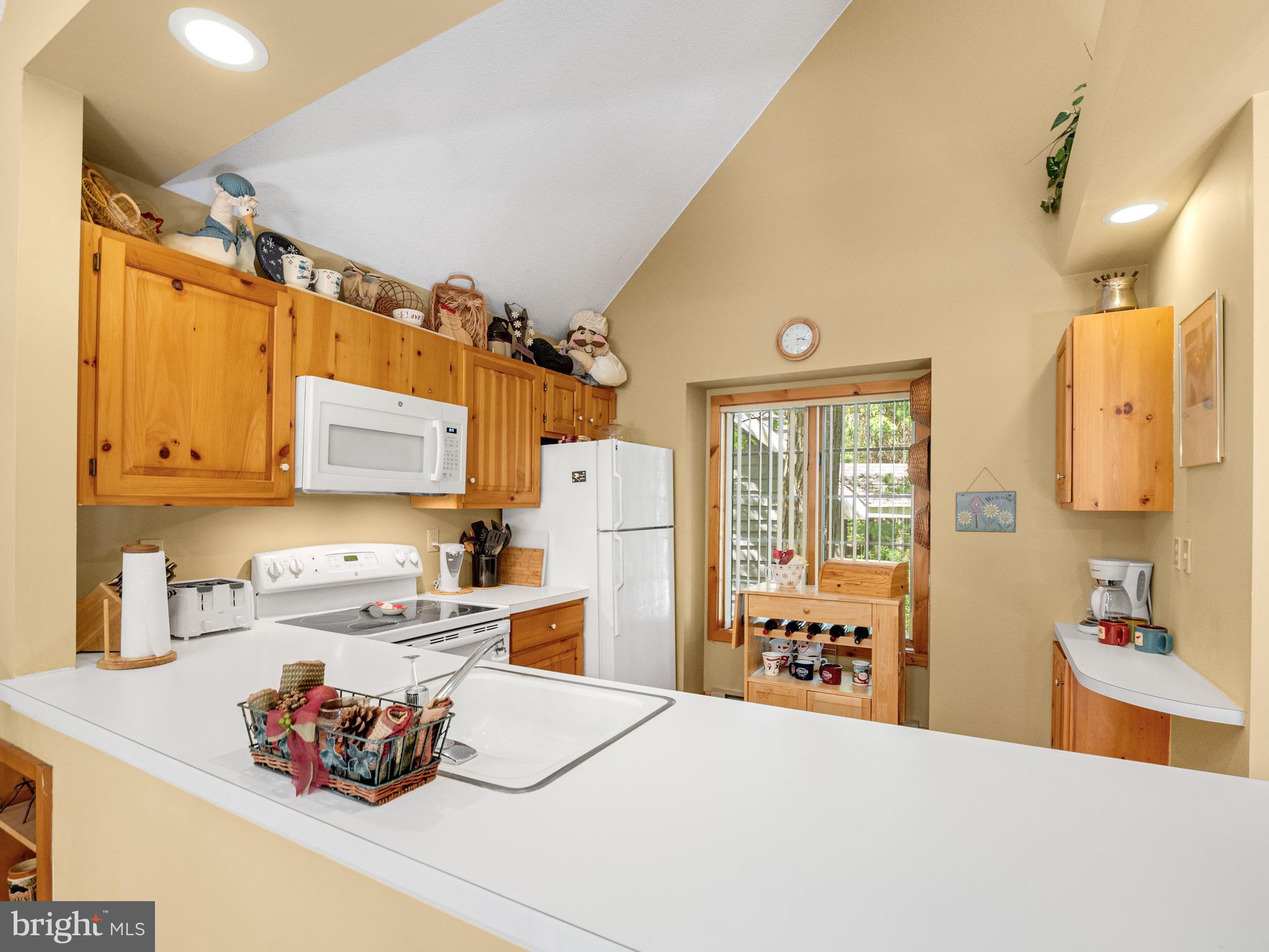 SNOW RIDGE VILLAGE - Residential