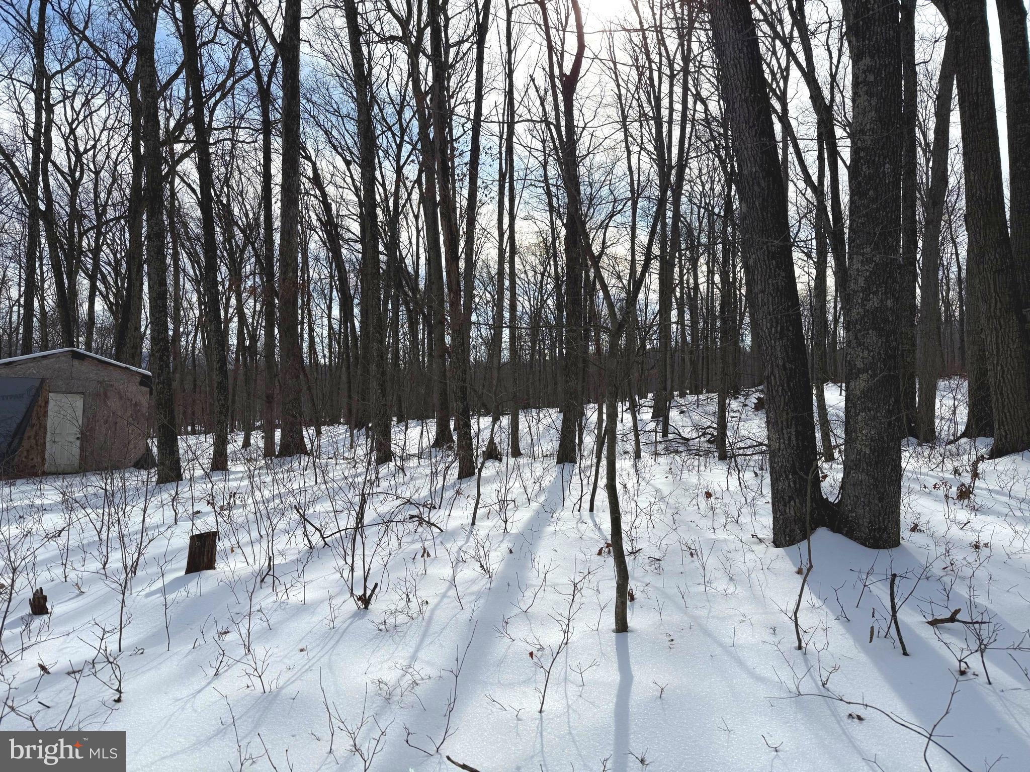 Lot 6 PAULS WOODS RD