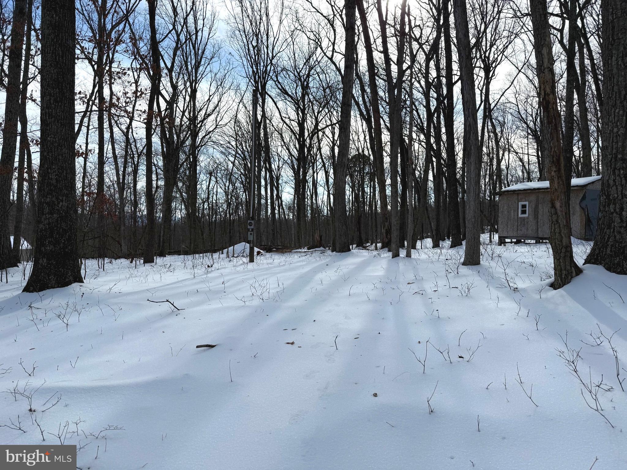 Lot 6 PAULS WOODS RD