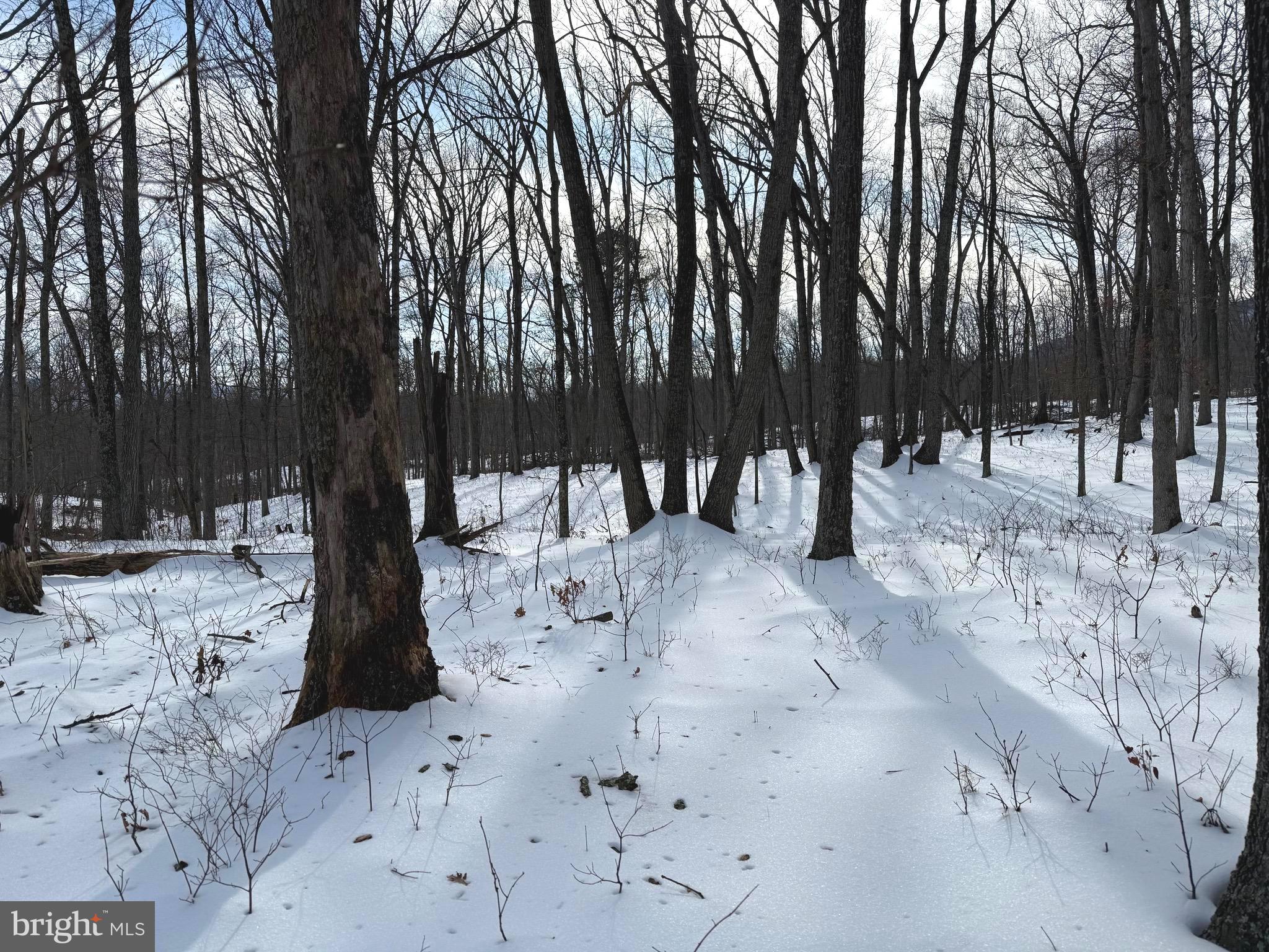 Lot 6 PAULS WOODS RD