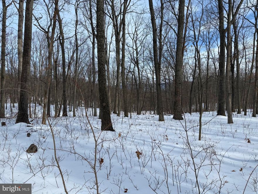 Don't let this amazing opportunity slip away! The possibilities are endless with this 2.67 acre lot. The topography is ideal for building that forever home in the mountains or weekend get-away you've been dreaming of. Mobile homes and hunting are allowed. This lot is perfect for those seeking the solace of living in the mountains and the avid outdoor enthusiast. It is about .5 mile from the community access to Short Mountain Wildlife Management Area where you have 8,000 acres to hike the wild and wonderful hills, hunt or fish the North River that gets stocked with trout. Electric is available to the site. This property sits about a mile and half from WV 29, is about an hour's drive to Winchester, VA and less than 2 hours from Dulles Airport.